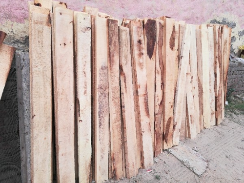 Chandan Sharma Timbers 