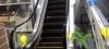 Sugam Elevators Pvt....