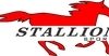 Stallion Sports