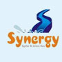 Synergy Water Park Rides Private Limited
